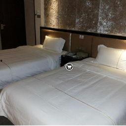 柏拉图酒店,探寻古希腊哲学的神秘之旅